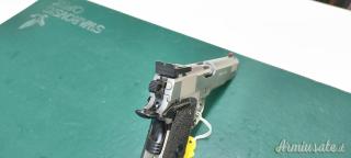 Para Ordnance P16 .40 Smith & Wesson | Auto  |  10 x 21 mm