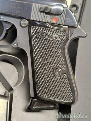 Walther PPK / S