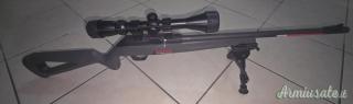 Winchester WILDCAT .22 Long Rifle