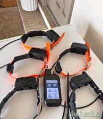 GARMIN ALPHA 300 + 5 COLLARI TT15  800 EUR.