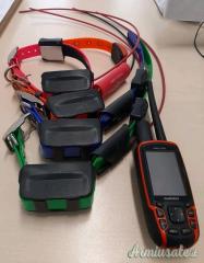 Vendo Astro 320 Europa + 4 collari T5 a 600 euro.