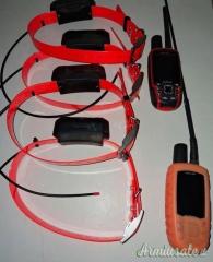 Un set completo di localizzatori GPS Garmin con collari di tracciamento. 500 eur