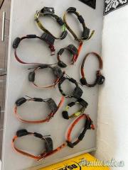 Collare BS-Planet per cani €680