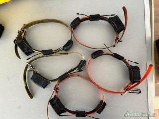 Collare BS-Planet per cani €680