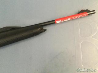 Benelli Argo Endurance comfortech  .308 Winchester