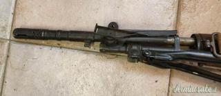 FAL alpino Disattivato