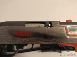 Ruger | Sturm Target lite .22 Long Rifle