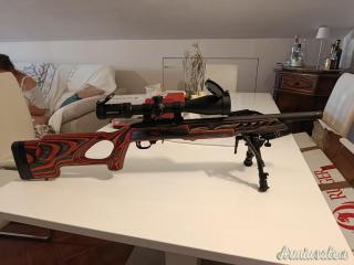 Ruger | Sturm Target lite .22 Long Rifle