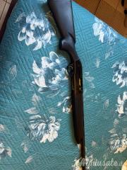 Beretta a300 outlander