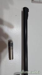 Beretta 391 stonecoat 20