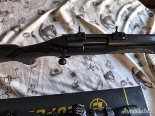 Remington 700 .223 Remington
