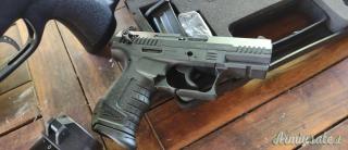 .22 LR Long Rifle