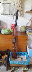 Franchi ALCIONE  12