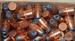 N°50 Palle Remington per Calibro 45-70