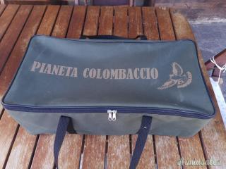 Colombaccio ali battenti pianeta colombaccio