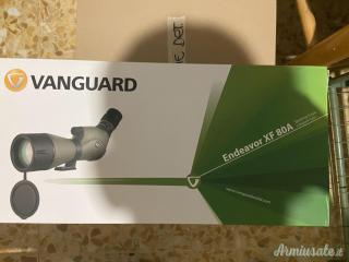 Vanguard