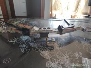 Compaund camo