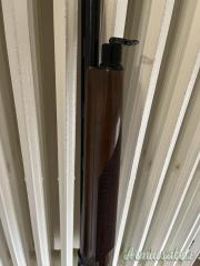 Benelli Montefeltro  cal 20