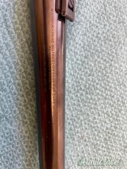 Beretta 390 Slug