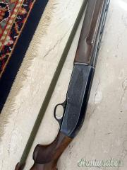 Beretta 301