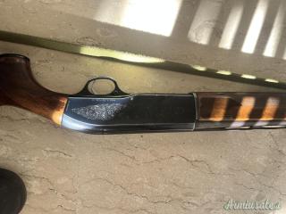 Beretta 301