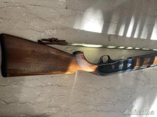 Beretta 301