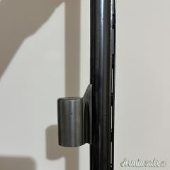 INTROVABILE Canna Breda (R) 60cm 2 stelle