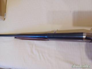 Benelli Raffaello  12