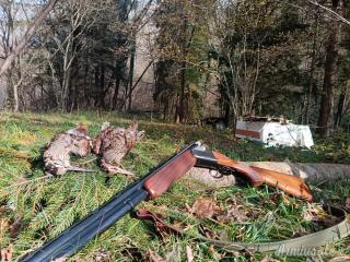 Rizzini BR110 12 canne 67 bigrillo