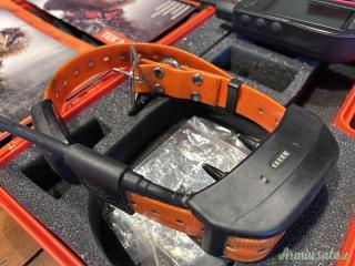 Canicom Tek2.0 + collare gps + modulo addestramento