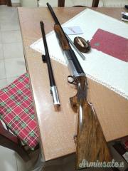 Cosmi 12