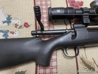 Remington Police .308 Winchester