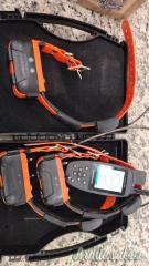 Canicom GPS con 3 collari originali a 700 €
