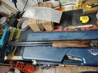 Beretta ase gold 12
