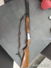 Rizzini Oriundo Litgh 20