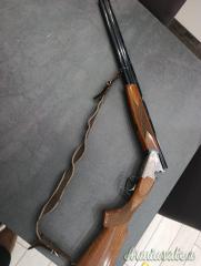 Rizzini Oriundo Litgh 20