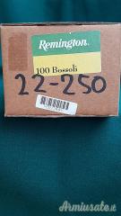 REMINGTON  cal. 22-250 conf. 100