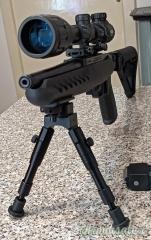 Ruger | Sturm Charger .22 Long Rifle