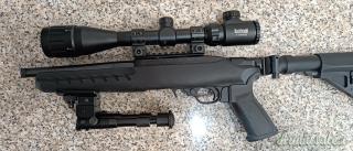 Ruger | Sturm Charger .22 Long Rifle