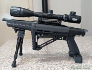 Ruger | Sturm Charger .22 Long Rifle