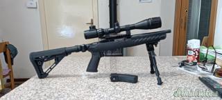 Ruger | Sturm Charger .22 Long Rifle