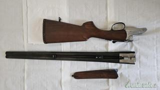 Beretta doppietta Piccione 12