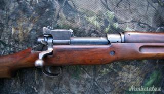 P17 Winchester 30-06