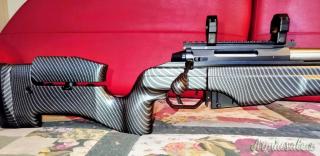Sako Trg 22 inox  .308 Winchester