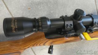 Ruger | Sturm 10-22 match .22 Long Rifle