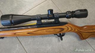 Ruger | Sturm 10-22 match .22 Long Rifle