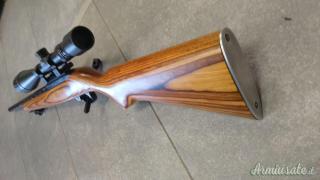 Ruger | Sturm 10-22 match .22 Long Rifle