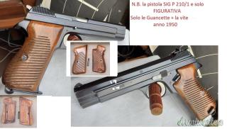 Per SIG P 210/1 del 1950