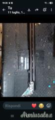 Perazzi  12