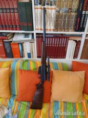 Remington 81 .300 Savage